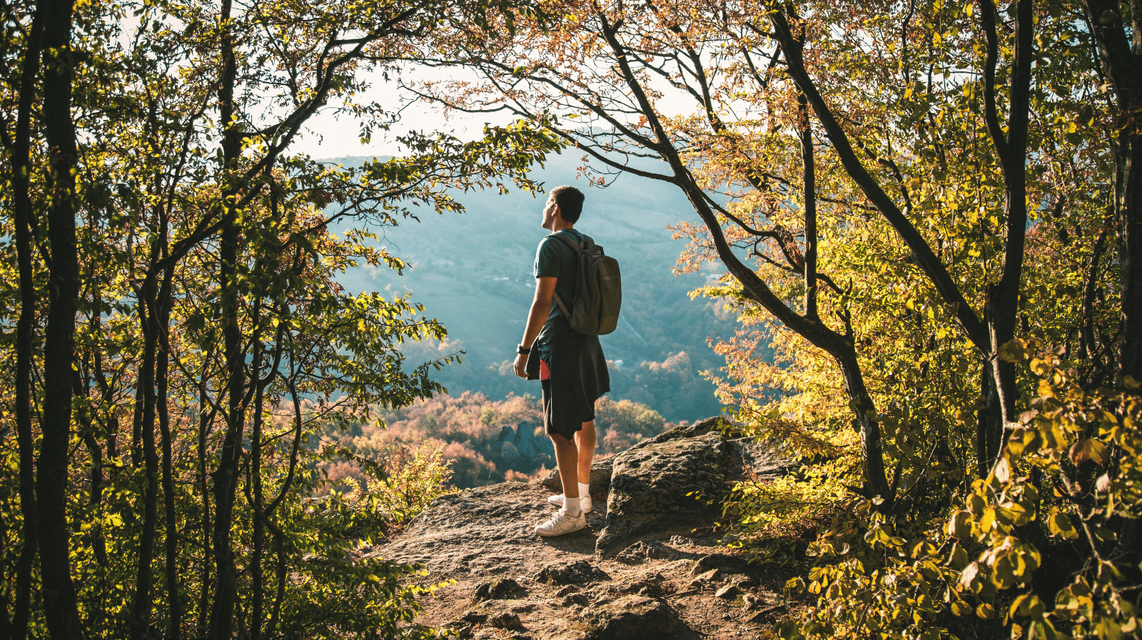 Vaš imuni sistem OBOŽAVA šumu: kako jedna poseta prirodi može da pojača odbranu tela